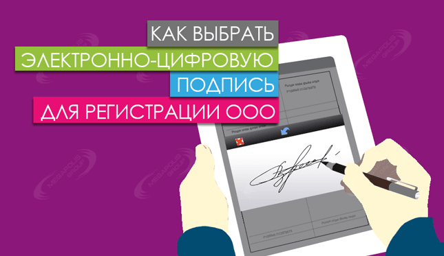 Как выбрать ЭЦП для регистрации ООО?