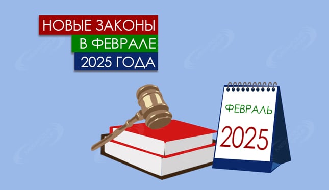 Новые законы в феврале 2025 года