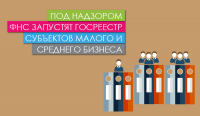 Под надзором ФНС запустят Госреестр субъектов малого и среднего бизнеса